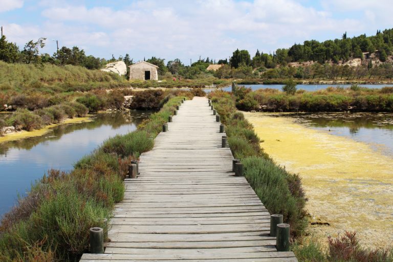 Sketch Workshop Peyriac-de-Mer
