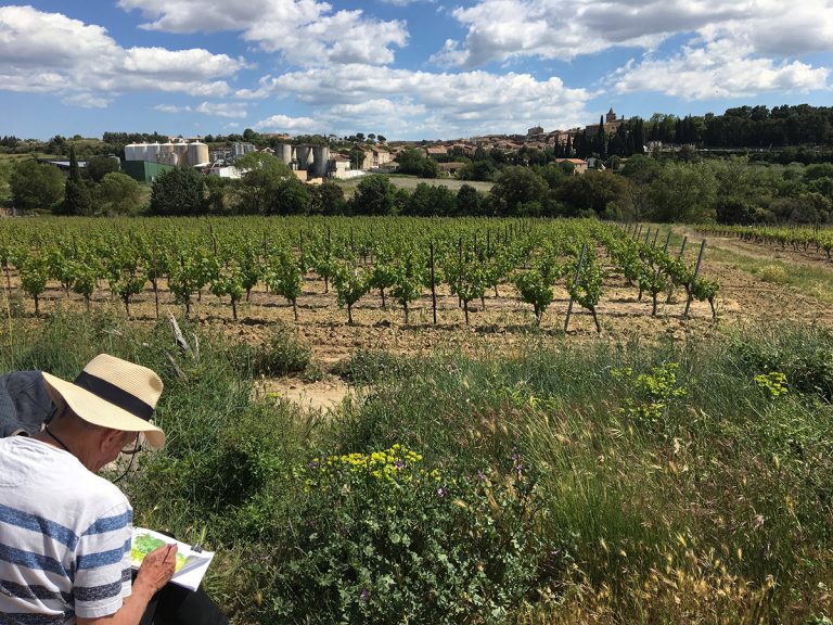 Vineyard Views
