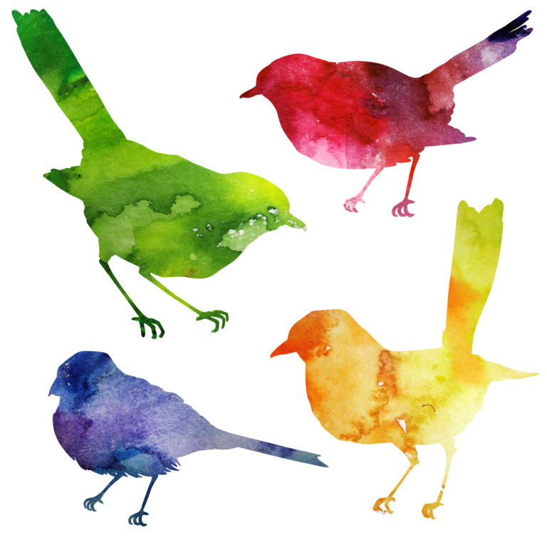 Croquis Café: Birds of a Feather
