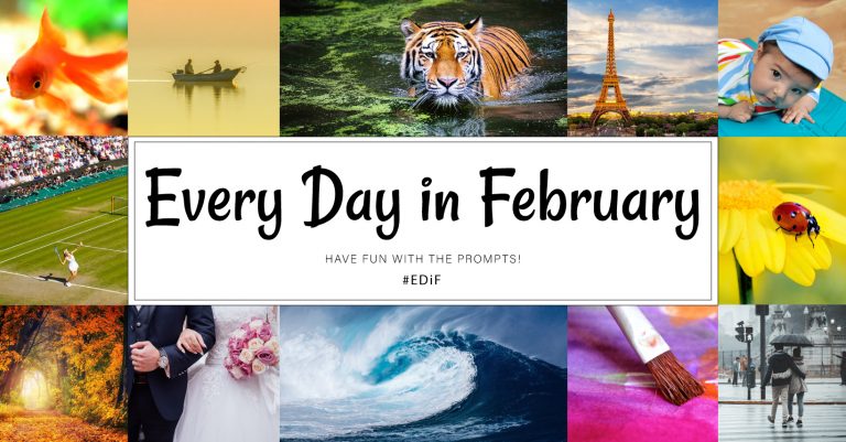 Every Day in February 2020