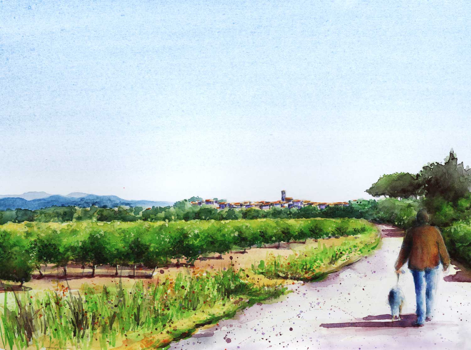 Balade-au-bord-des-vignes-Azillois
