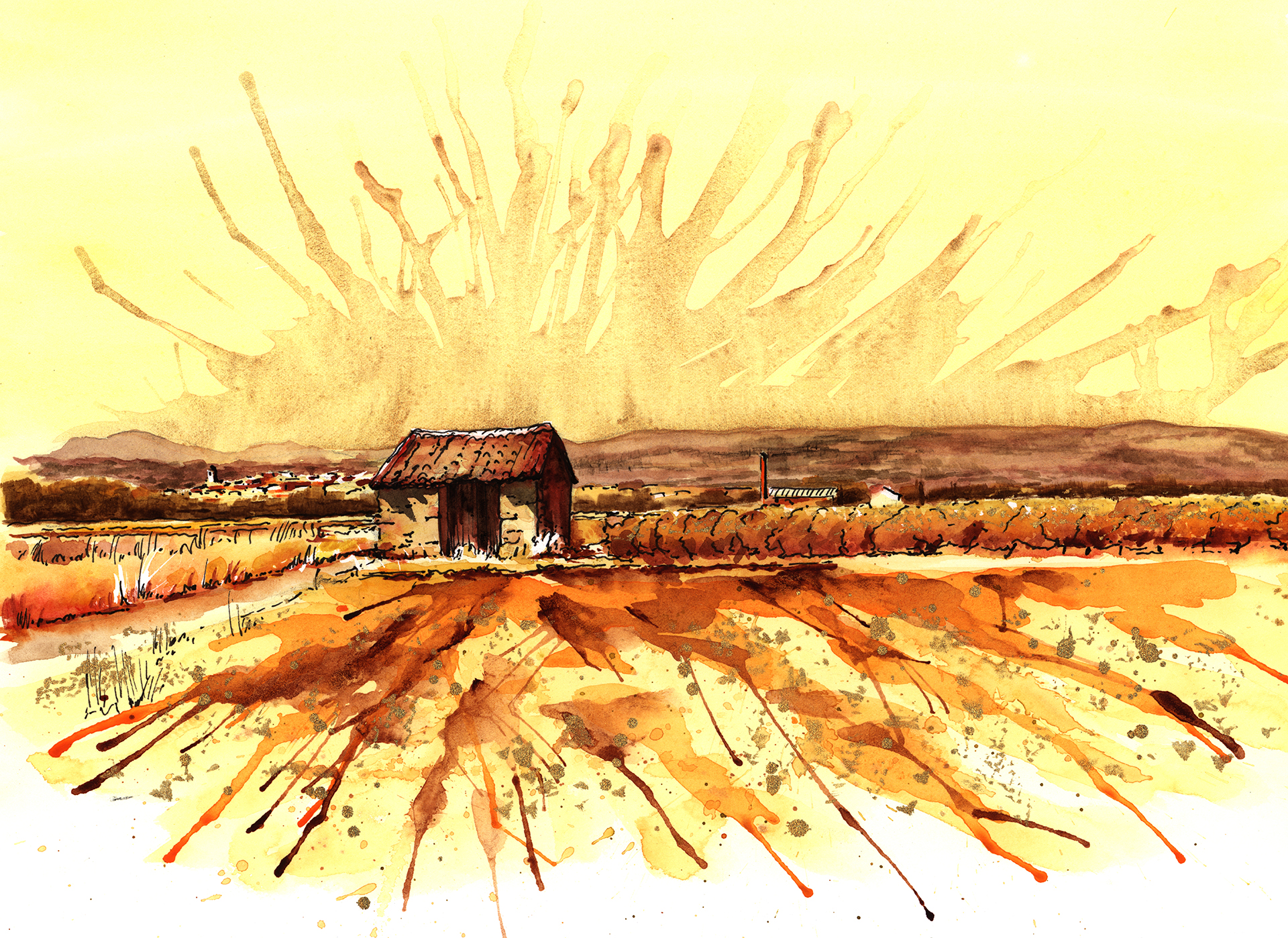 Vignes dorees - La Liviniere