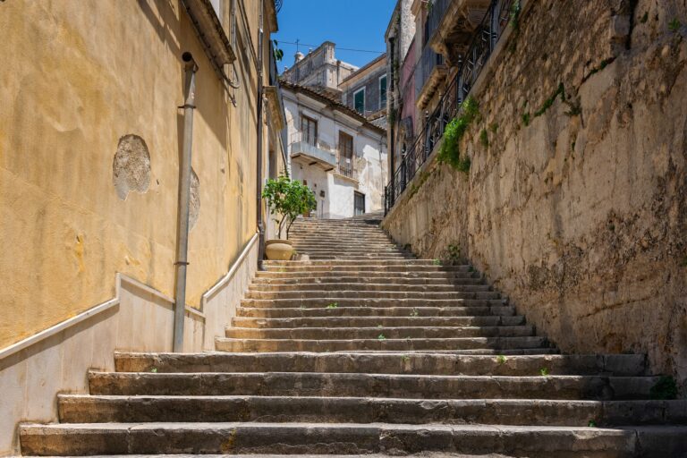 Zoom workshop – Steps