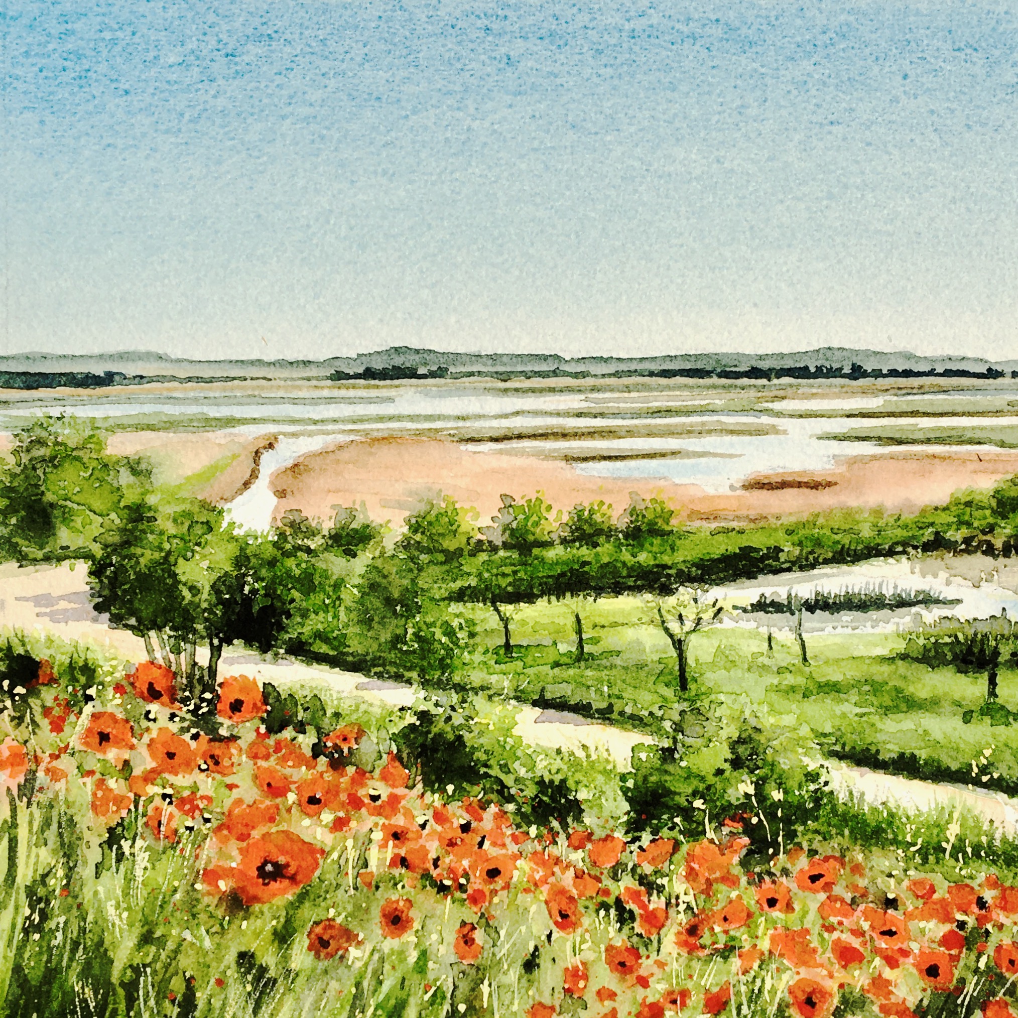 montels poppies